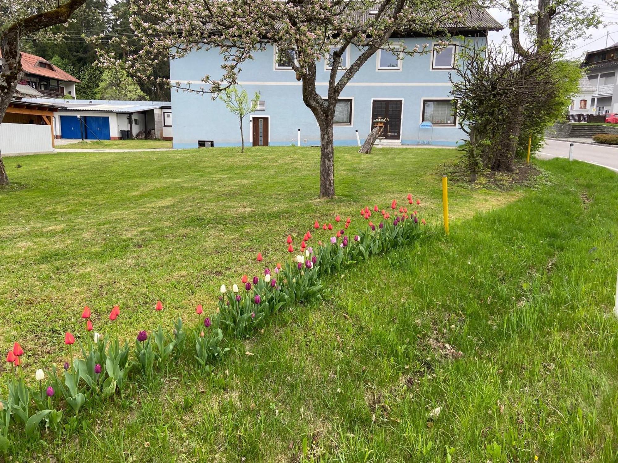 Apartamento Nikolaierhaus Feldkirchen in Kärnten Exterior foto